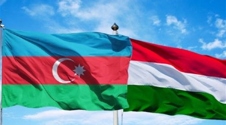 Азербайджано-венгерские отношения успешно развиваются