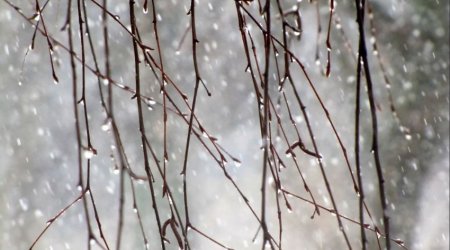 Rain, strong wind expected in some areas tomorrow