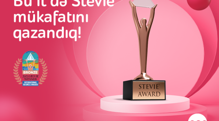 Nar Won Stevie® Award