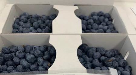 Bu ölkə meyvə və tərəvəzləri yeni üsulla təzə saxlaya bilir