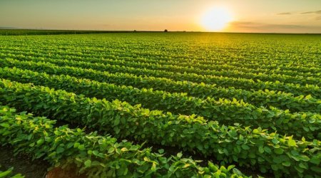 Azerbaijan reduces agricultural expenses by 8%