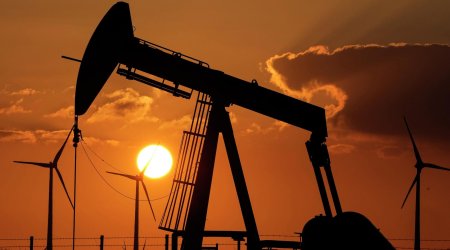 Цена азербайджанской нефти снизилась до 100 долларов