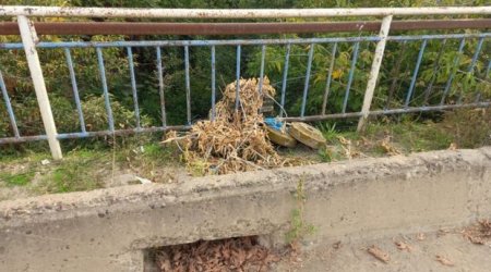 Ermənistanın Azərbaycana qarşı mina terroru davam edir