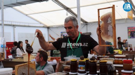 Bəzi arıçılar razı, bəziləri isə narazıdır - Bal yarmarkasından reportaj - FOTOLAR