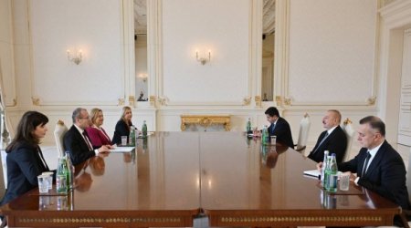 Алиев принял регионального директора ВОЗ по Европе