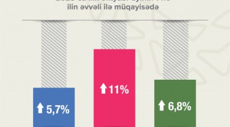 В Азербайджане число активных плательщиков НДС увеличилось на 11%