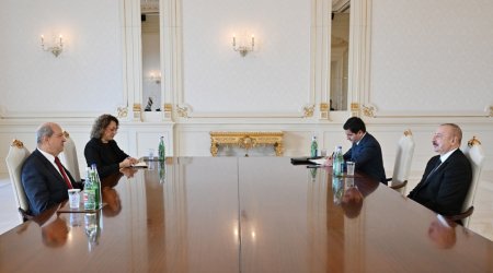 Əliyev Ersin Tatarı qəbul edib