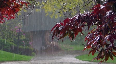 Azerbaijan weather forecast for October 20