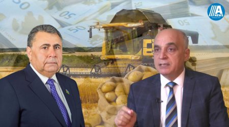 Kənd təsərrüfatına ayrılan vəsait azaldılıb - Deputat bunu düz,ekspert isə səhv adlandırır