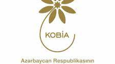 KOBİA-dan yararlanan şəxslərin sayı açıqlanıb