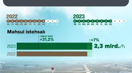 Sənaye istehsalından gələn gəlir 7% artıb - Nazir