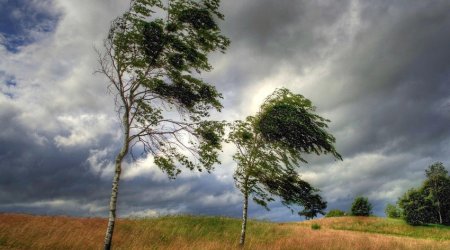 Azerbaijan weather forecast for November 7