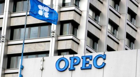 OPEC+ ölkələrinin növbəti görüşünün tarixi açıqlandı