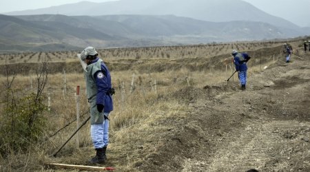 Over 13,000 mines found in liberated territories