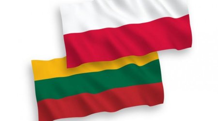 Litva Polşa ilə hərbi ittifaqı gücləndirməyə çağırıb