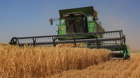 Rusiya taxıl ixracına qadağa qoya bilər