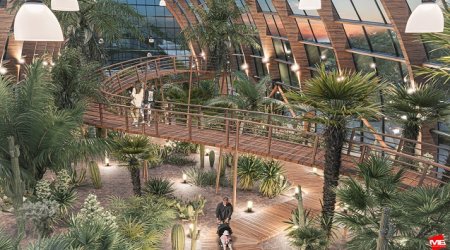 Mərkəzi Nəbatət bağının 