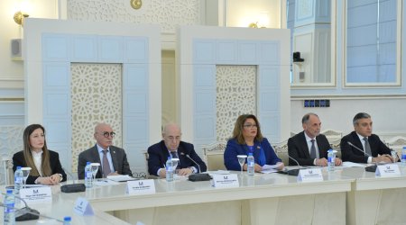 Milli Məclisdə ictimai dinləmə keçirilib