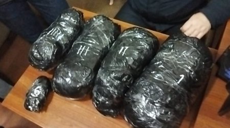 Qəbələdə narkokuryerlik edən dostlar saxlanılıb