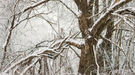 Snow, wind expected in several districts tomorrow