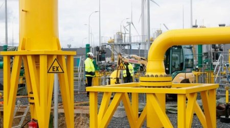 Botas, Gazprom to hold negotiations on gas hub project in St. Petersburg