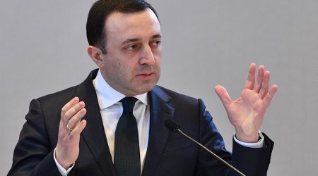 Вслед за премьером в отставку уходит все правительство Грузии