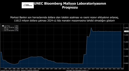 UNEC 2024-cü il üçün manatın məzənnəsi ilə bağlı proqnozu açıqlayıb