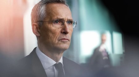 Генсек НАТО: Все факты смерти Навального должны быть установлены