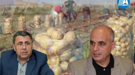 Azərbaycanı kartof böhranı gözləyir - Fermerdən şikayət