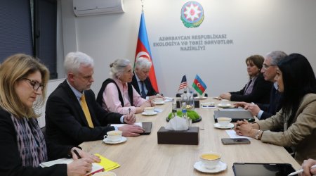 COP29 prezidenti Syu Biniaz ilə görüşüb