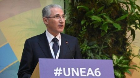 COP29 prezidenti Ətraf Mühit Assambleyasının 6-cı sessiyasında çıxış edib