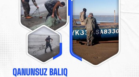 Qanunsuz balıq ovlayanlar saxlanılıb