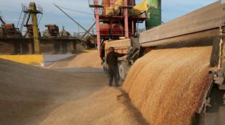 Yanvarda ölkəyə ən çox buğda idxal olunub