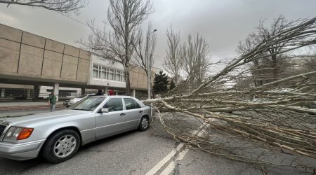 Bişkekdə fövqəladə vəziyyət elan edilib