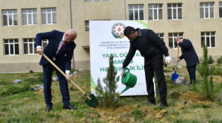 Yasamal rayonunda növbəti ağacəkmə aksiyası keçirilib