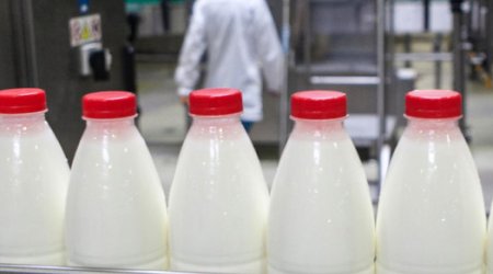 Соратники Пашиняна против российской молочки