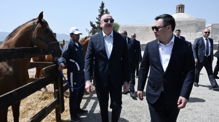 Əliyev həmkarına Ağdamda səfəri zamanı Qarabağ atı hədiyyə edib