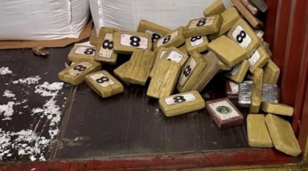 В Санкт-Петербурге обнаружили 60 кг кокаина