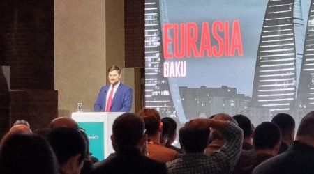 Xəzərin altından fiber optik şəbəkənin çəkilməsi cəsarətli bir təklifdir -Aleksey Borodin