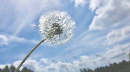 Azerbaijan weather forecast for May 24