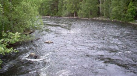 Минэкологии: Уровень воды в реках отслеживается