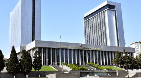Milli Məclis Niderland Parlamenti Nümayəndələr Palatasının qətnaməsini pisləyib