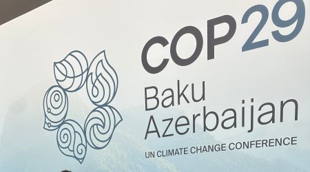 COP29 çərçivəsində ölkəyə gətirilən mallar vergidən azad edilib