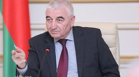 Məzahir Pənahov Macarıstanda seçkiləri müşahidə edəcək