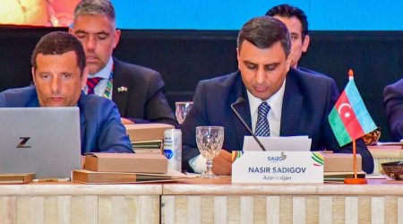 Hesablama Palatası G20 ölkələrinin Ali Audit Orqanlarının sammitində iştirak edib