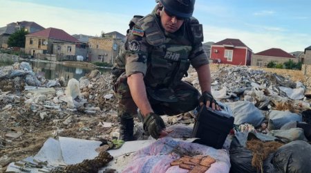 В двух поселках Абшеронского района обнаружено множество боеприпасов