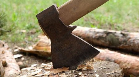 4 ildə ekoloji hüquqpozmalar ilə bağlı dövlət büdcəsinə dörd milyondan çox vəsait ödənilib