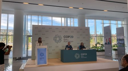 Ətraf mühitin mühafizəsi istiqamətində UNEP ilə əməkdaşlıq ediləcək- Muxtar Babayev