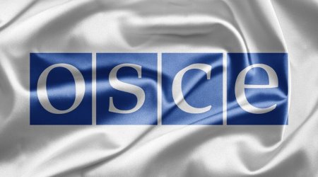 В Госдуму внесли проект заявления о приостановке работы России в ПА ОБСЕ
