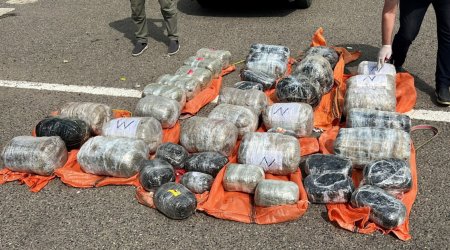 В Азербайджане из оборота изъято большое количество наркотиков